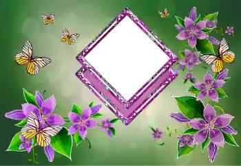 श्रेणी से फ़ोटो प्रभाव महिलाओं के फोटो फ्रेम № 178292