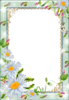 श्रेणी से फ़ोटो प्रभाव महिलाओं के फोटो फ्रेम № 179319