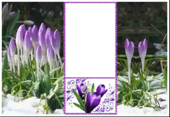 श्रेणी से फ़ोटो प्रभाव महिलाओं के फोटो फ्रेम № 179360