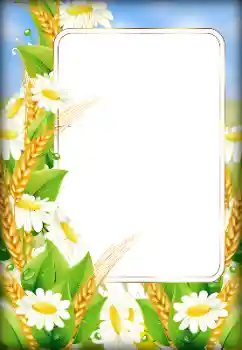 श्रेणी से फ़ोटो प्रभाव महिलाओं के फोटो फ्रेम № 179526