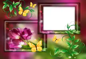 श्रेणी से फ़ोटो प्रभाव महिलाओं के फोटो फ्रेम № 179563