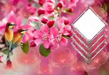 श्रेणी से फ़ोटो प्रभाव महिलाओं के फोटो फ्रेम № 179565