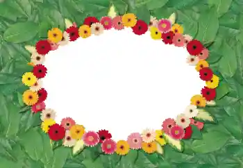 श्रेणी से फ़ोटो प्रभाव महिलाओं के फोटो फ्रेम № 180695