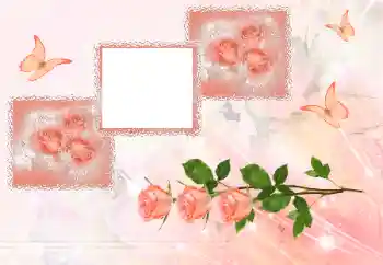 श्रेणी से फ़ोटो प्रभाव महिलाओं के फोटो फ्रेम № 180707