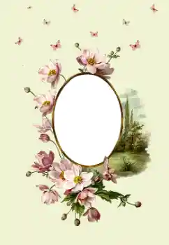 श्रेणी से फ़ोटो प्रभाव महिलाओं के फोटो फ्रेम № 180747