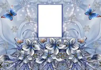 श्रेणी से फ़ोटो प्रभाव महिलाओं के फोटो फ्रेम № 180751