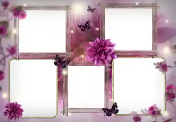 श्रेणी से फ़ोटो प्रभाव महिलाओं के फोटो फ्रेम № 180757