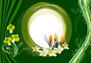 श्रेणी से फ़ोटो प्रभाव महिलाओं के फोटो फ्रेम № 180910