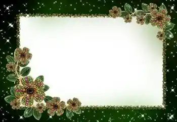 श्रेणी से फ़ोटो प्रभाव महिलाओं के फोटो फ्रेम № 181929