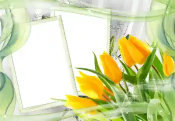 श्रेणी से फ़ोटो प्रभाव महिलाओं के फोटो फ्रेम № 181968