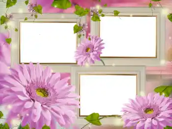 श्रेणी से फ़ोटो प्रभाव महिलाओं के फोटो फ्रेम № 181986