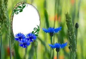 श्रेणी से फ़ोटो प्रभाव महिलाओं के फोटो फ्रेम № 181991