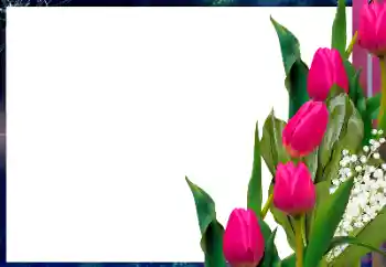 श्रेणी से फ़ोटो प्रभाव महिलाओं के फोटो फ्रेम № 182017