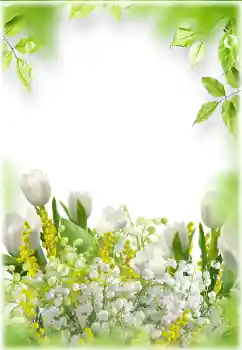 श्रेणी से फ़ोटो प्रभाव महिलाओं के फोटो फ्रेम № 182024