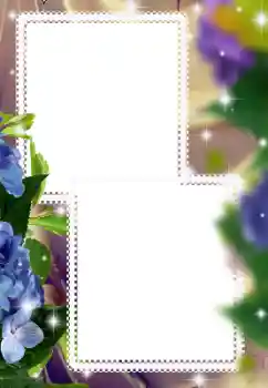 श्रेणी से फ़ोटो प्रभाव महिलाओं के फोटो फ्रेम № 182073