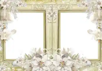 श्रेणी से फ़ोटो प्रभाव महिलाओं के फोटो फ्रेम № 182139