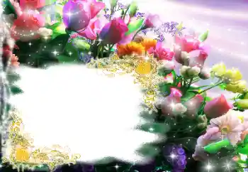 श्रेणी से फ़ोटो प्रभाव महिलाओं के फोटो फ्रेम № 182144