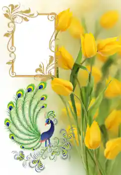 श्रेणी से फ़ोटो प्रभाव महिलाओं के फोटो फ्रेम № 182161