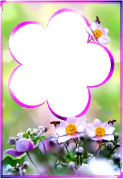 श्रेणी से फ़ोटो प्रभाव महिलाओं के फोटो फ्रेम № 183360