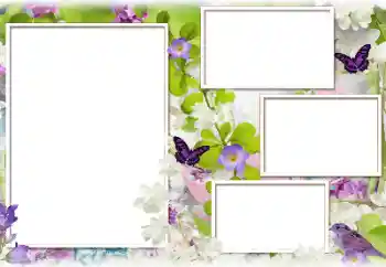 श्रेणी से फ़ोटो प्रभाव महिलाओं के फोटो फ्रेम № 183388