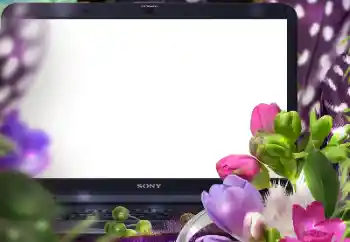 श्रेणी से फ़ोटो प्रभाव महिलाओं के फोटो फ्रेम № 183389