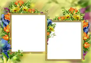 श्रेणी से फ़ोटो प्रभाव महिलाओं के फोटो फ्रेम № 184579