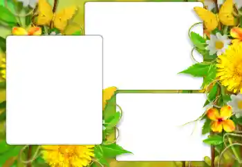 श्रेणी से फ़ोटो प्रभाव महिलाओं के फोटो फ्रेम № 184587