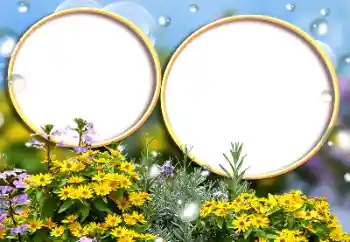 श्रेणी से फ़ोटो प्रभाव महिलाओं के फोटो फ्रेम № 184588