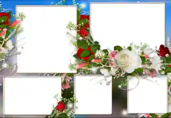 श्रेणी से फ़ोटो प्रभाव महिलाओं के फोटो फ्रेम № 184590