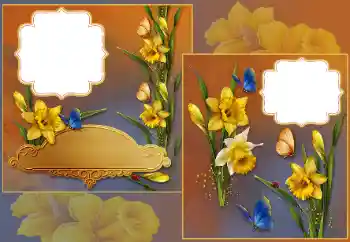 श्रेणी से फ़ोटो प्रभाव महिलाओं के फोटो फ्रेम № 185839