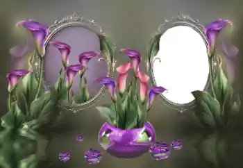 श्रेणी से फ़ोटो प्रभाव महिलाओं के फोटो फ्रेम № 185840