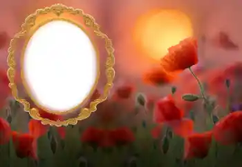 श्रेणी से फ़ोटो प्रभाव महिलाओं के फोटो फ्रेम № 185852