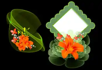 श्रेणी से फ़ोटो प्रभाव महिलाओं के फोटो फ्रेम № 185977