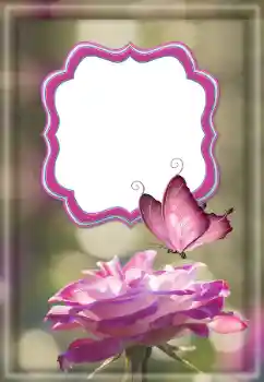 श्रेणी से फ़ोटो प्रभाव महिलाओं के फोटो फ्रेम № 187032