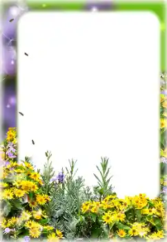 श्रेणी से फ़ोटो प्रभाव महिलाओं के फोटो फ्रेम № 187069