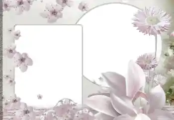 श्रेणी से फ़ोटो प्रभाव महिलाओं के फोटो फ्रेम № 188139