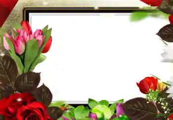 श्रेणी से फ़ोटो प्रभाव महिलाओं के फोटो फ्रेम № 188224