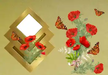 श्रेणी से फ़ोटो प्रभाव महिलाओं के फोटो फ्रेम № 189371