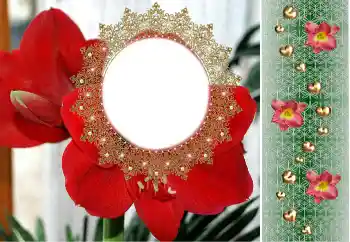 श्रेणी से फ़ोटो प्रभाव महिलाओं के फोटो फ्रेम № 190480