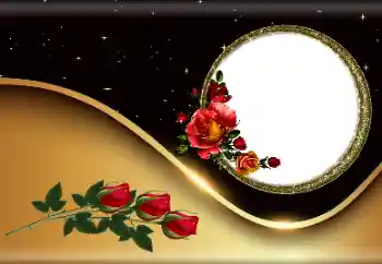 श्रेणी से फ़ोटो प्रभाव महिलाओं के फोटो फ्रेम № 190527