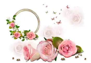 श्रेणी से फ़ोटो प्रभाव महिलाओं के फोटो फ्रेम № 190616