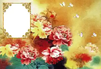 श्रेणी से फ़ोटो प्रभाव महिलाओं के फोटो फ्रेम № 190617