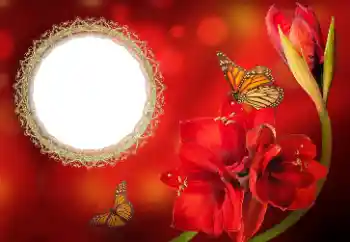 श्रेणी से फ़ोटो प्रभाव महिलाओं के फोटो फ्रेम № 191699