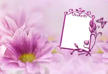 श्रेणी से फ़ोटो प्रभाव महिलाओं के फोटो फ्रेम № 191747