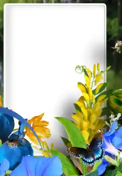 श्रेणी से फ़ोटो प्रभाव महिलाओं के फोटो फ्रेम № 192828