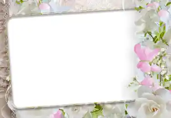 श्रेणी से फ़ोटो प्रभाव महिलाओं के फोटो फ्रेम № 192942