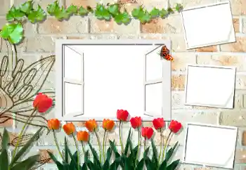 श्रेणी से फ़ोटो प्रभाव महिलाओं के फोटो फ्रेम № 194188