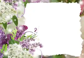 श्रेणी से फ़ोटो प्रभाव महिलाओं के फोटो फ्रेम № 194234