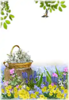 श्रेणी से फ़ोटो प्रभाव महिलाओं के फोटो फ्रेम № 195329