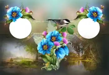 श्रेणी से फ़ोटो प्रभाव महिलाओं के फोटो फ्रेम № 196361